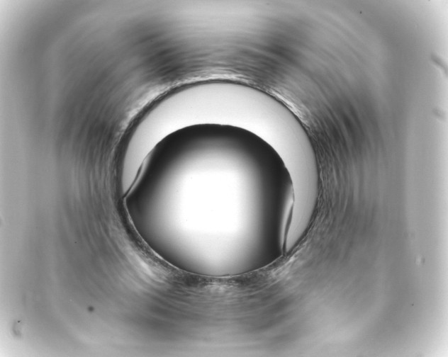 X0000093250350200710241318