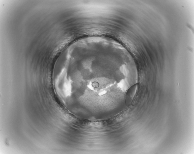 X0000093250353200710241318