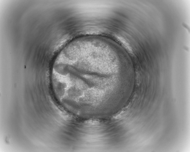 X0000093250354200710241318
