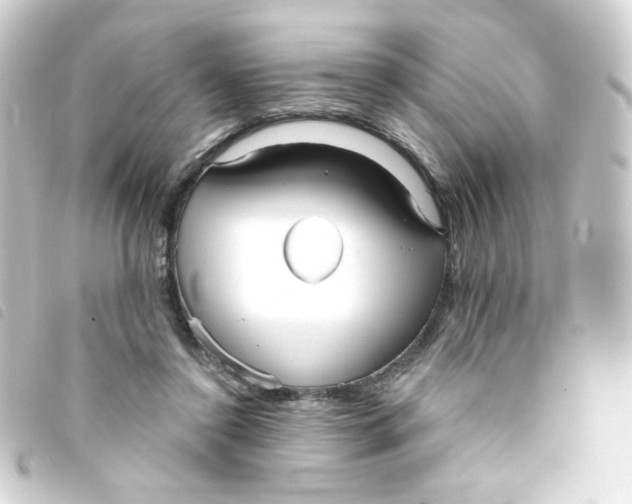 X0000093250356200710241318