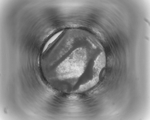 X0000093250358200710241318