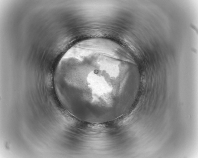 X0000093250359200710241318
