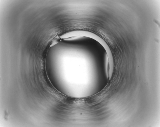 X0000093250362200710241319