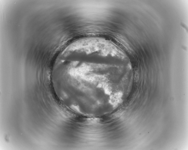 X0000093250363200710241319