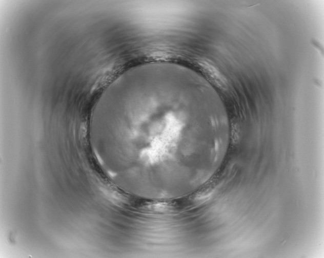 X0000093250365200710241319