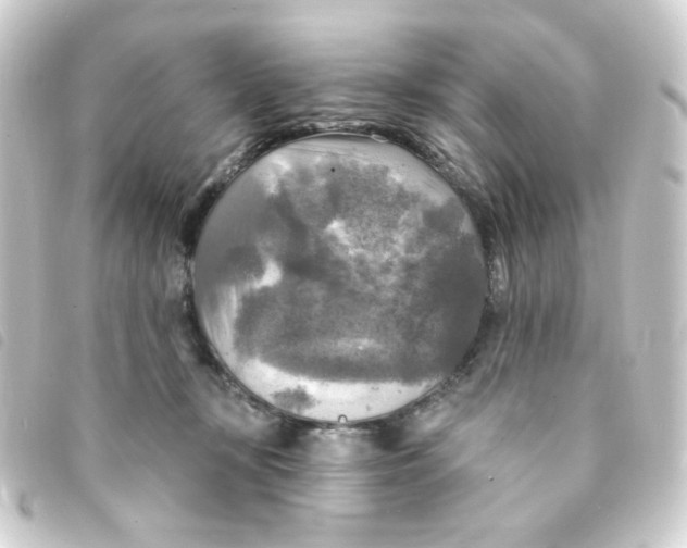 X0000093250367200710241319