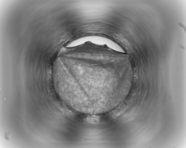 X0000093250369200710241319