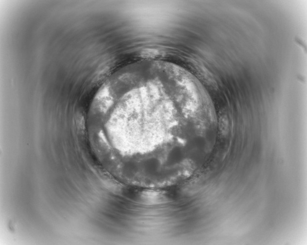 X0000093250375200710241319