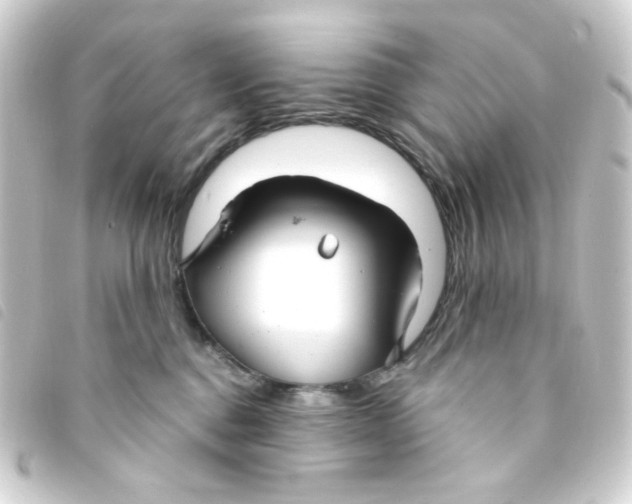 X0000093250376200710241319