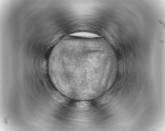 X0000093250378200710241319