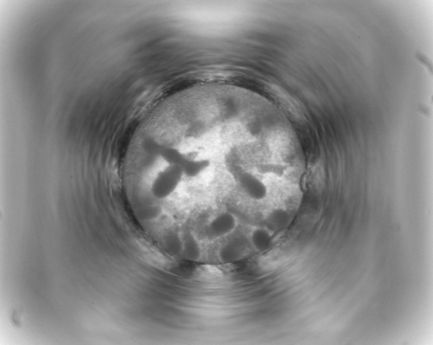 X0000093250381200710241319