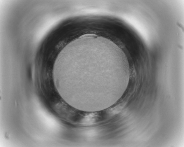 X0000093250382200710241319