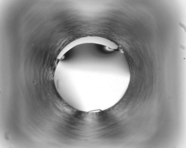 X0000093250384200710241319