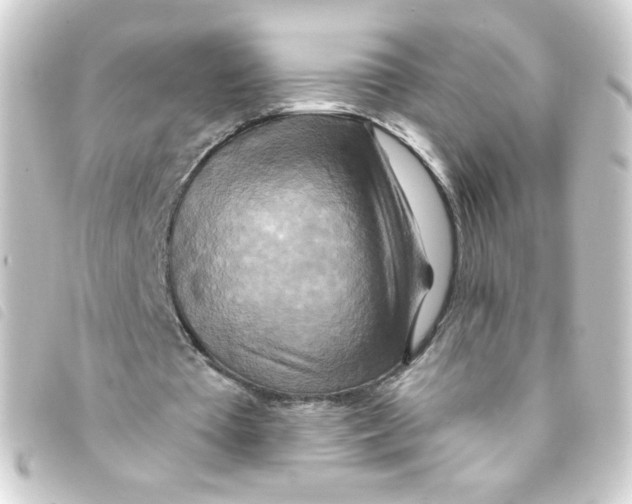 X0000093250385200710241318