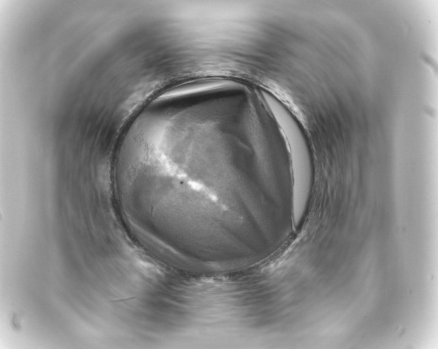 X0000093250386200710241318