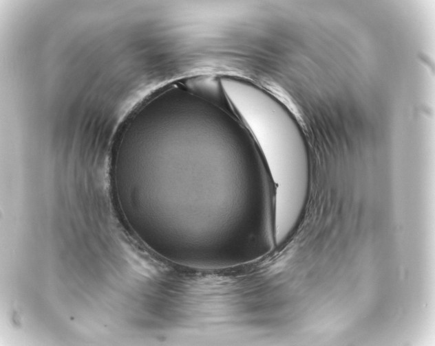 X0000093250387200710241318