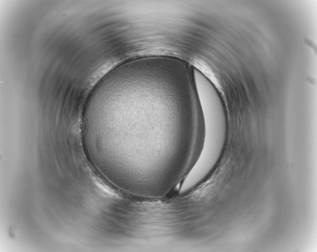 X0000093250389200710241318