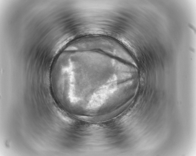 X0000093250390200710241318