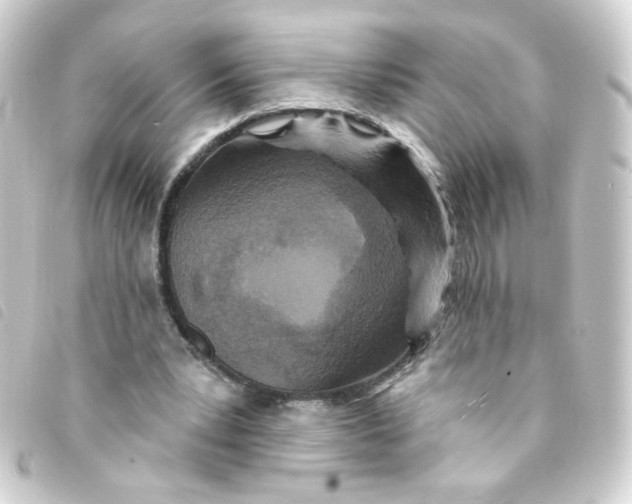 X0000093250391200710241318