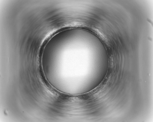 X0000093250392200710241318