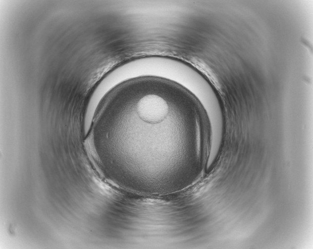 X0000093250393200710241318