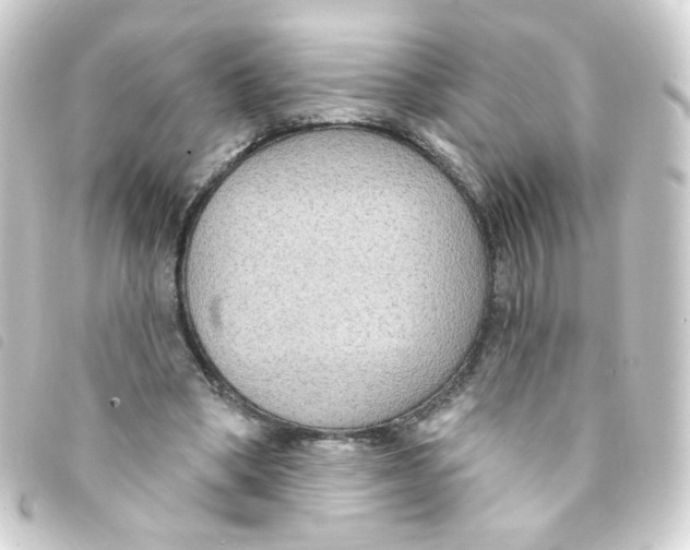 X0000093250394200710241318