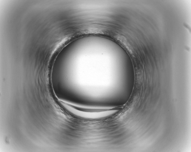 X0000093250395200710241318