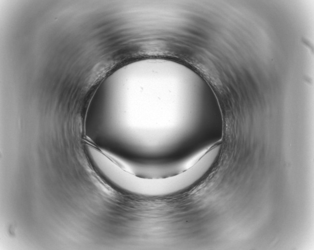 X0000093250397200710241318
