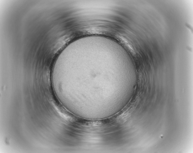 X0000093250398200710241318