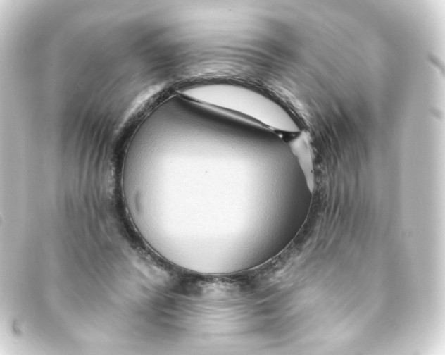 X0000093250400200710241318