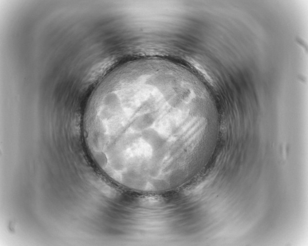 X0000093250402200710241318