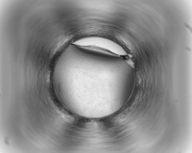 X0000093250404200710241318