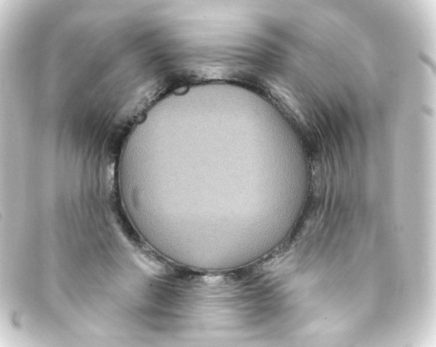 X0000093250406200710241318