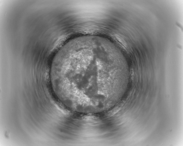 X0000093250408200710241318