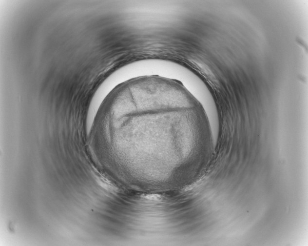 X0000093250409200710241318