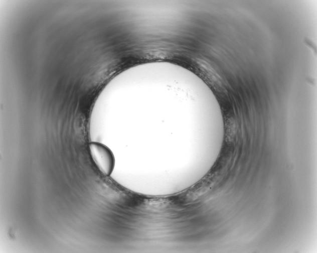 X0000093250414200710241318