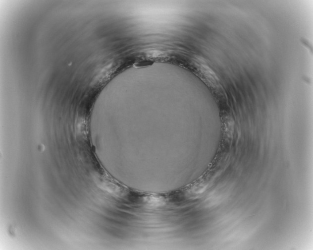 X0000093250419200710241318