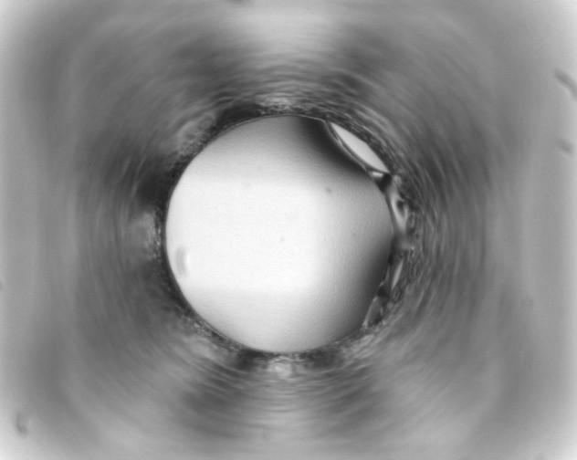 X0000093250420200710241318