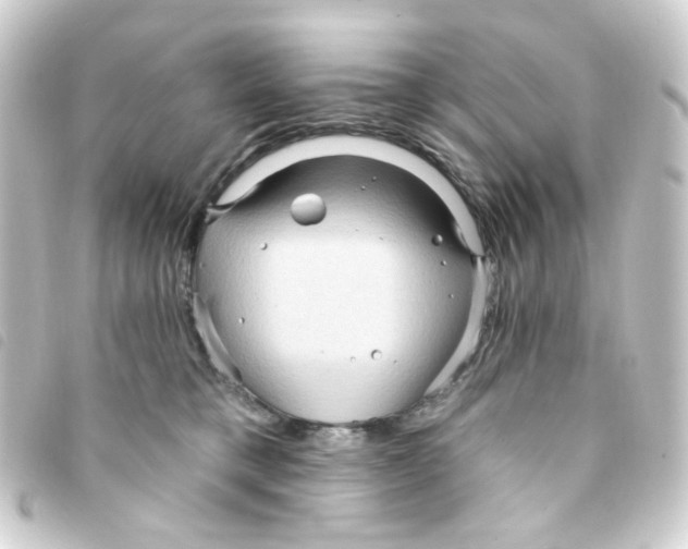 X0000093250421200710241318
