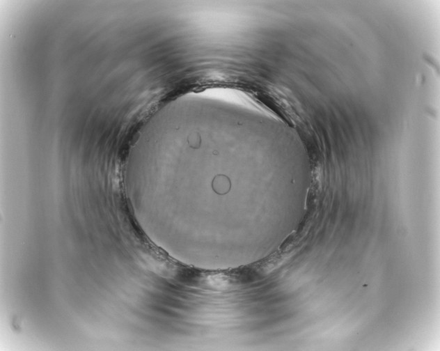 X0000093250423200710241318