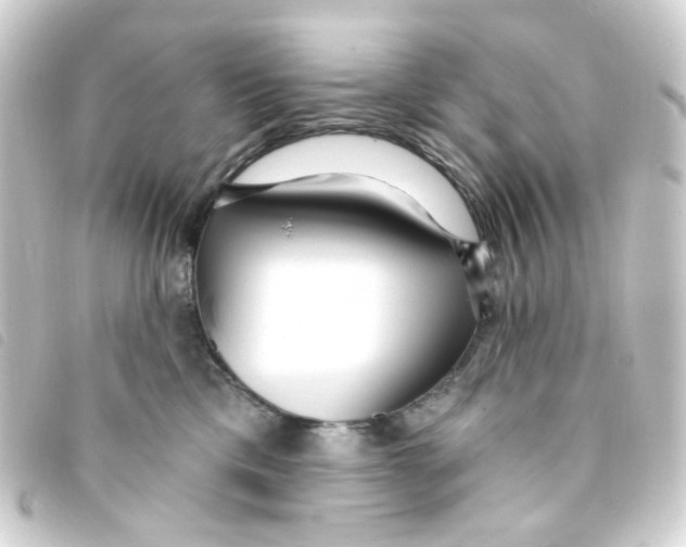 X0000093250425200710241318