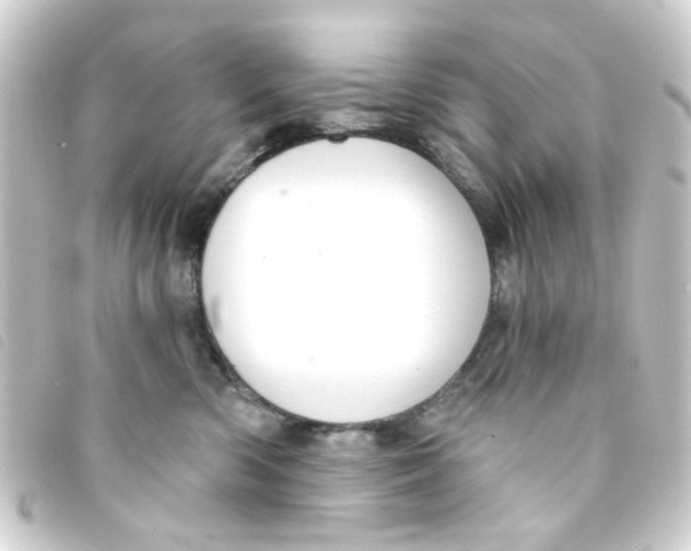 X0000093250426200710241318