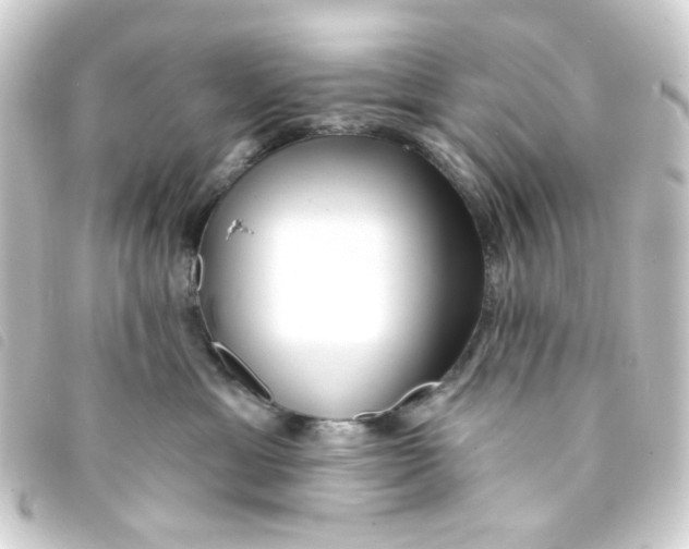 X0000093250429200710241318