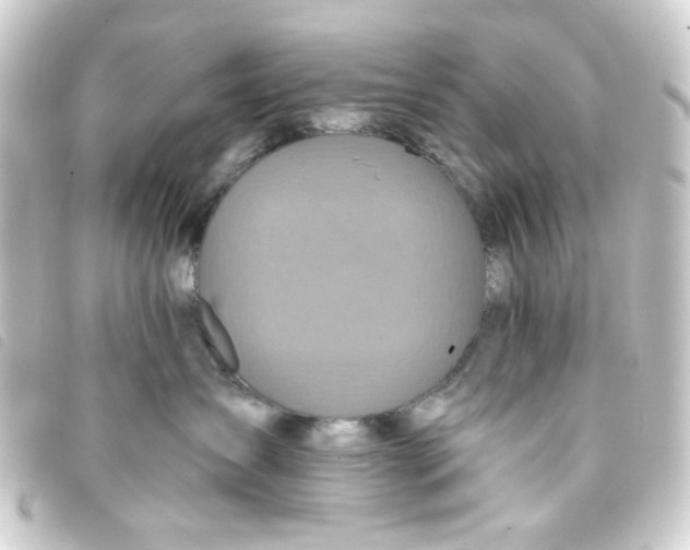 X0000093250431200710241318