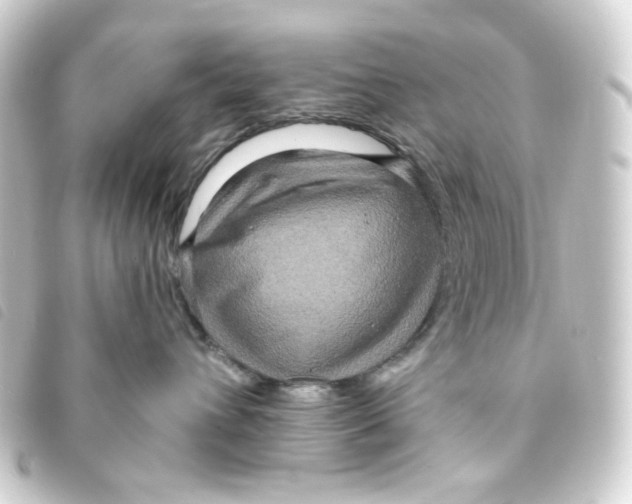 X0000093250432200710241318