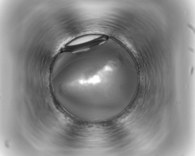X0000093250434200710241317