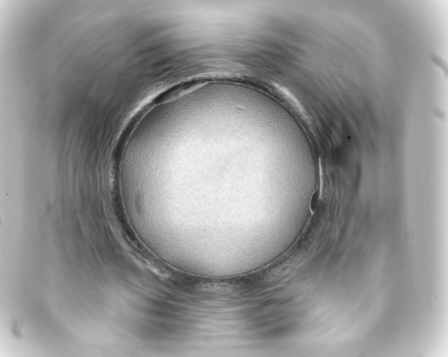 X0000093250435200710241317