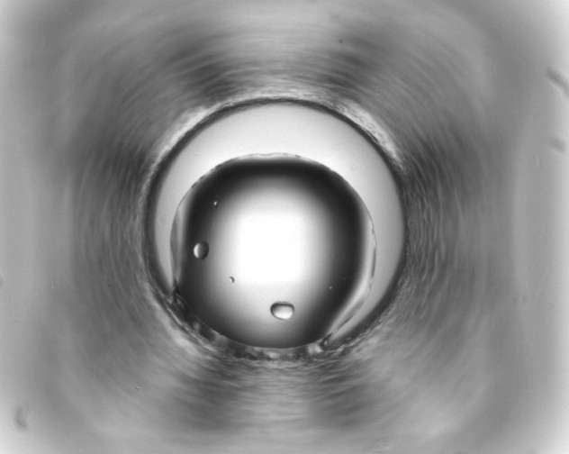 X0000093250436200710241317