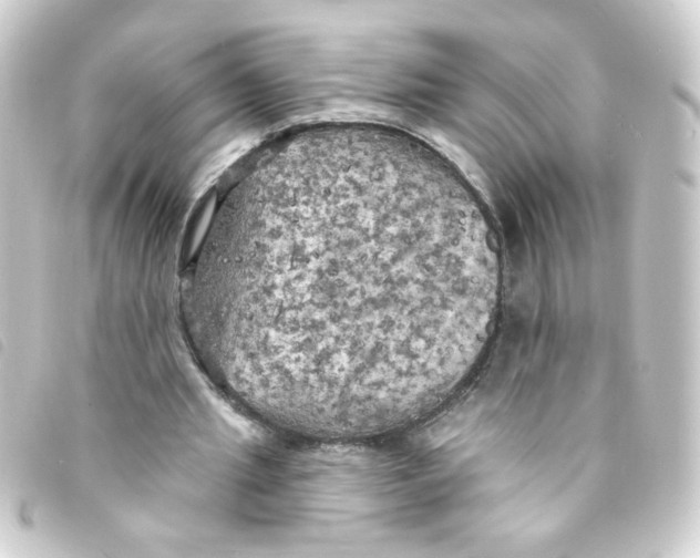 X0000093250437200710241317