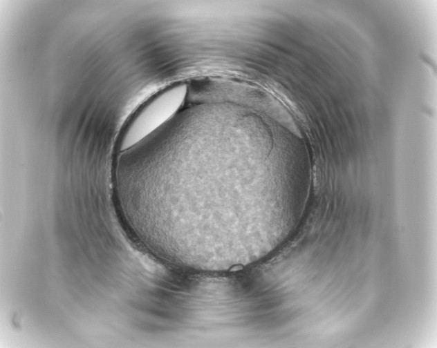 X0000093250438200710241317